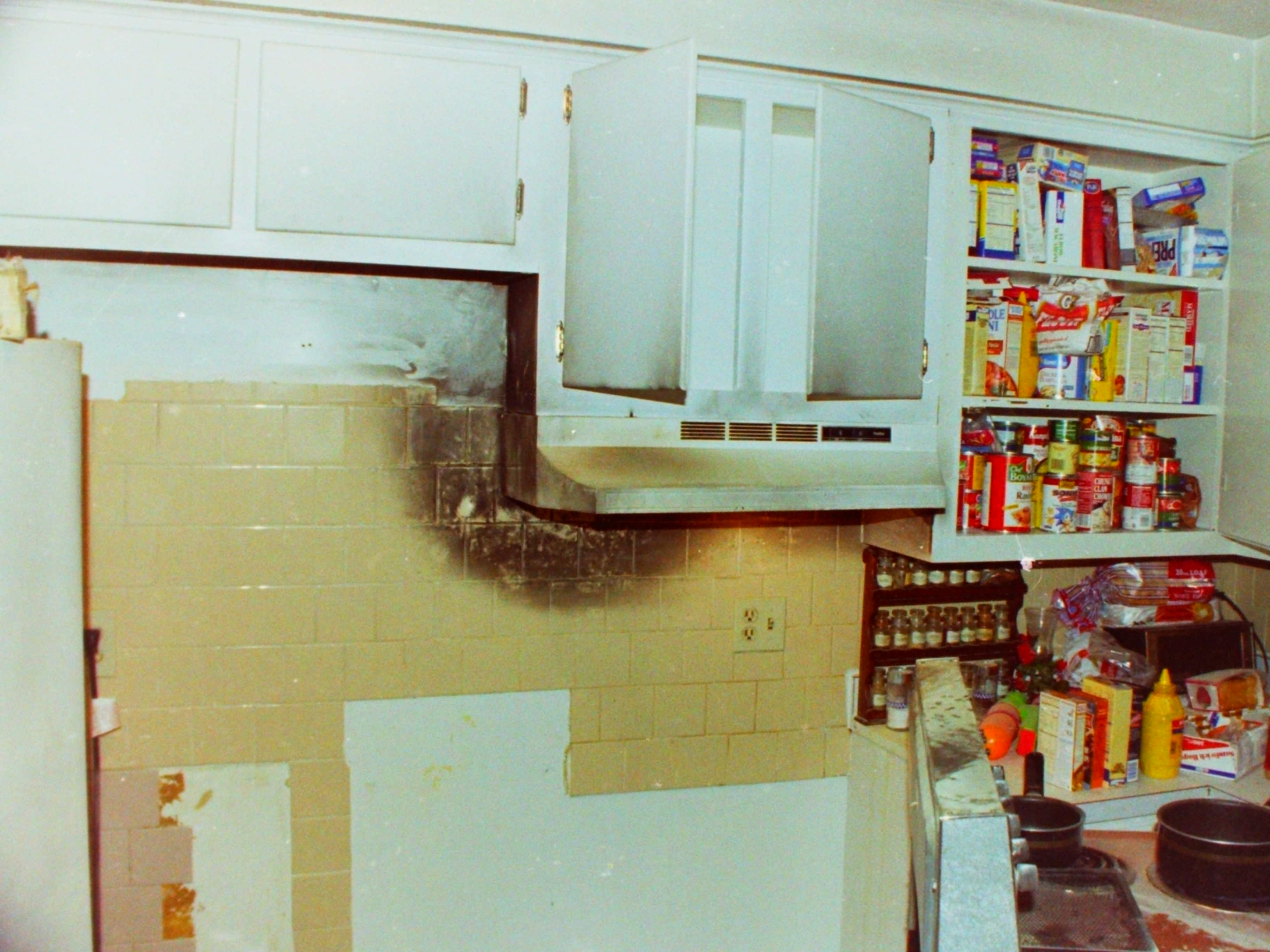 03-07-96  Response  - Bathhouse Fire Highland Park, Kitchen Fire 101 Hooper, 75th Painting